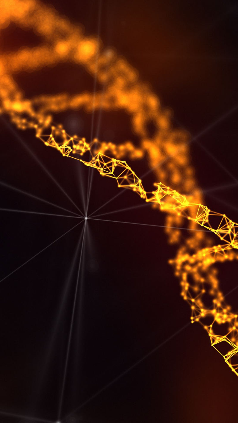 Rapid Energy Conversion Support