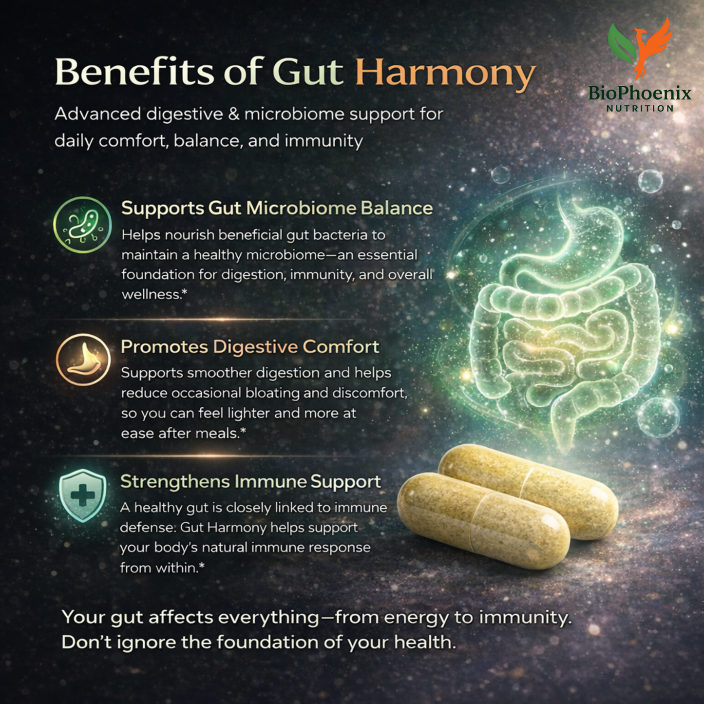 BioPhoenix Nutrition Gut Harmony™ Gut Health