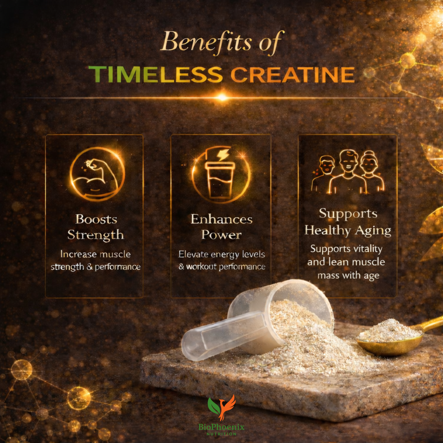BioPhoenix Nutrition Timeless Creatine™ Monohydrate
