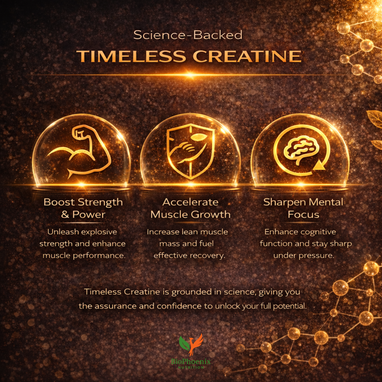 BioPhoenix Nutrition Timeless Creatine™ Monohydrate