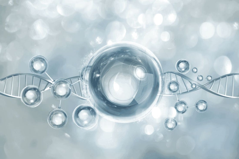 Nicotinamide Riboside / NMN-Related Compounds