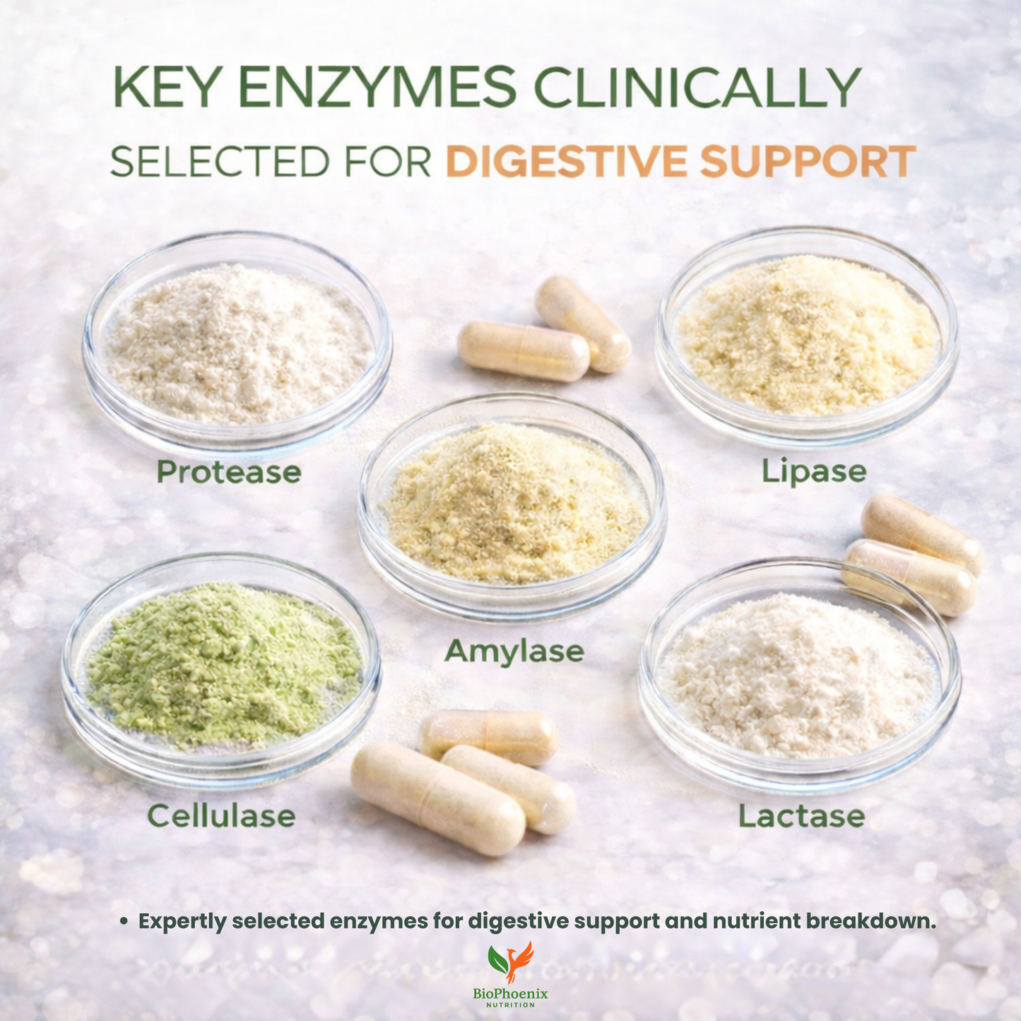 BioPhoenix Nutrition Digestive Flow™ Digestive Enzyme Pro Blend